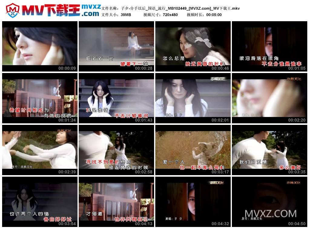 子夕-分手以后_国语_流行_MB102449